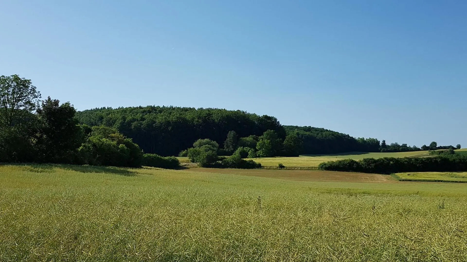 Campsite Ferienhaus Forstblick Betzenstein