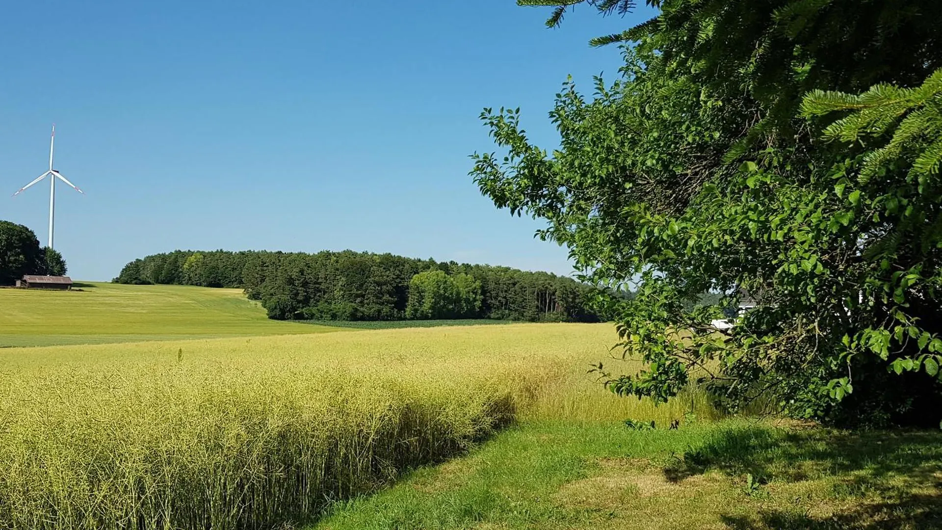 Ferienhaus Forstblick Betzenstein Campsite