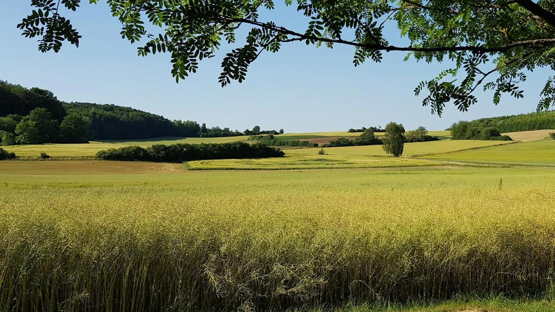 Campsite Ferienhaus Forstblick Betzenstein
